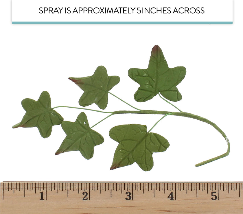 Ivy Leaf  Spray  Cake Decoration by Chef Alan Tetreault, Global Sugar Art, 5 Count