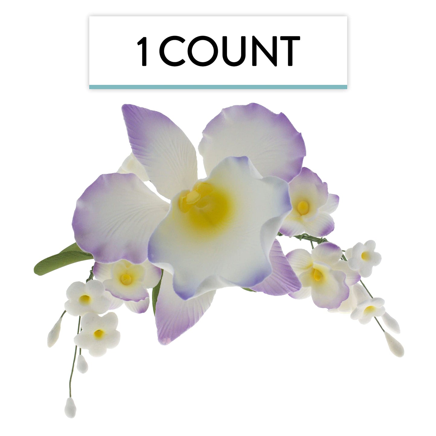 Purple and White Arched Cattleya Orchid Spray