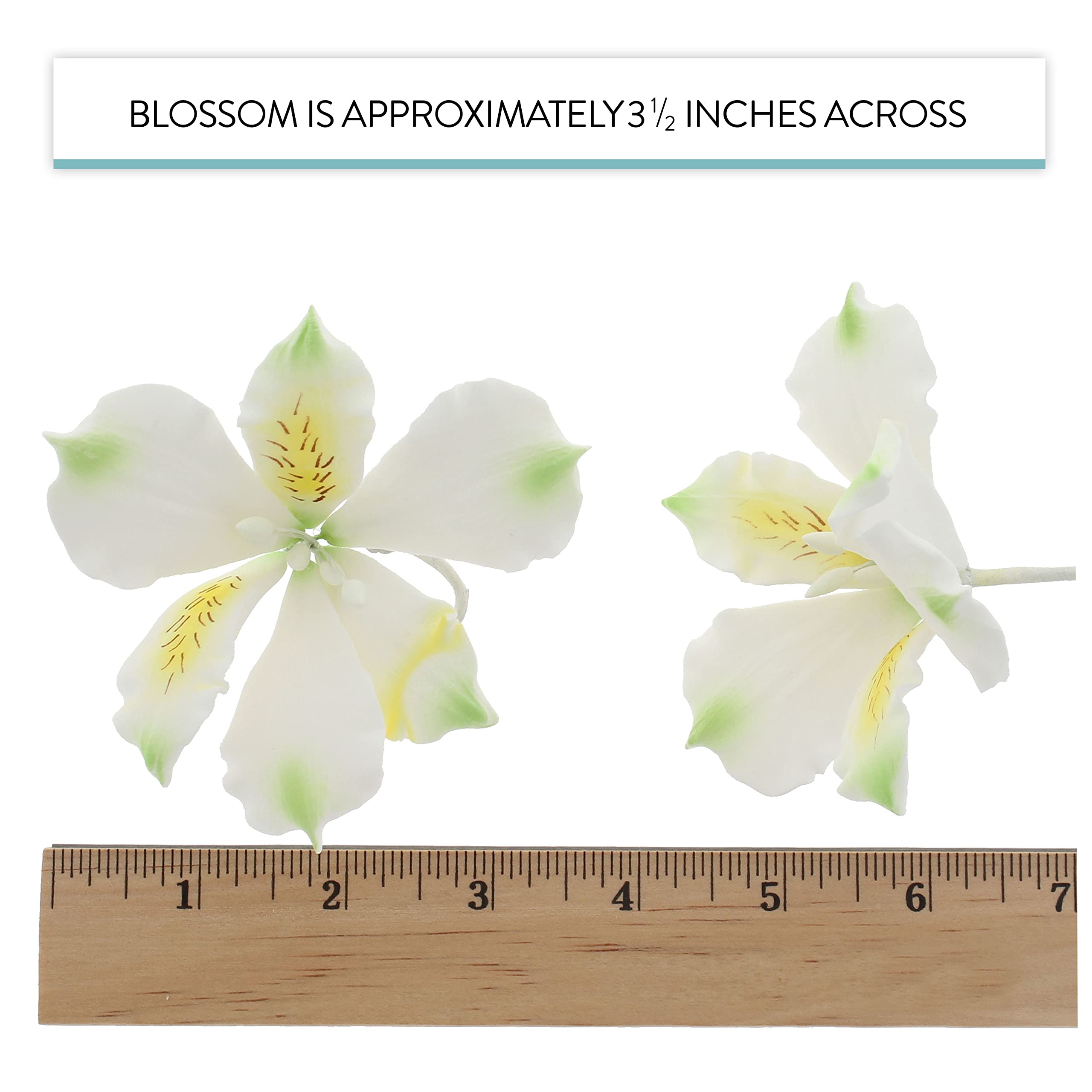 Global Sugar Art White Alstroemeria Sugar Cake Flowers by Chef Alan Tetreault, 3 Count