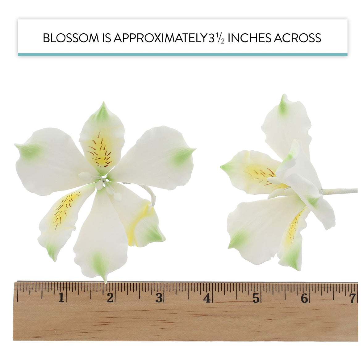 Global Sugar Art White Alstroemeria Sugar Cake Flowers by Chef Alan Tetreault, 3 Count