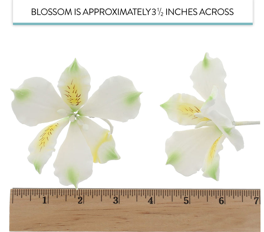 Global Sugar Art White Alstroemeria Sugar Cake Flowers by Chef Alan Tetreault, 3 Count