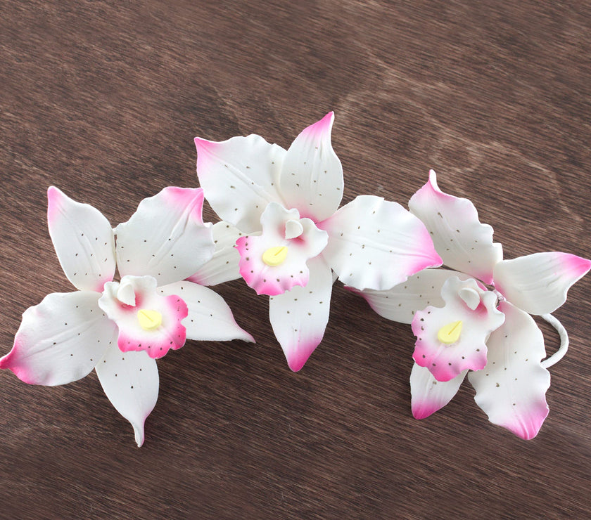 Orchid Sugar Cake Flowers, Brassavola Style Orchids, by Global Sugar Art, 3 Count, Pink