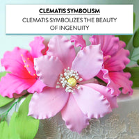 Clematis Gum Paste Sugar Cake Flowers by Global Sugar Art, Pink, 3 Count