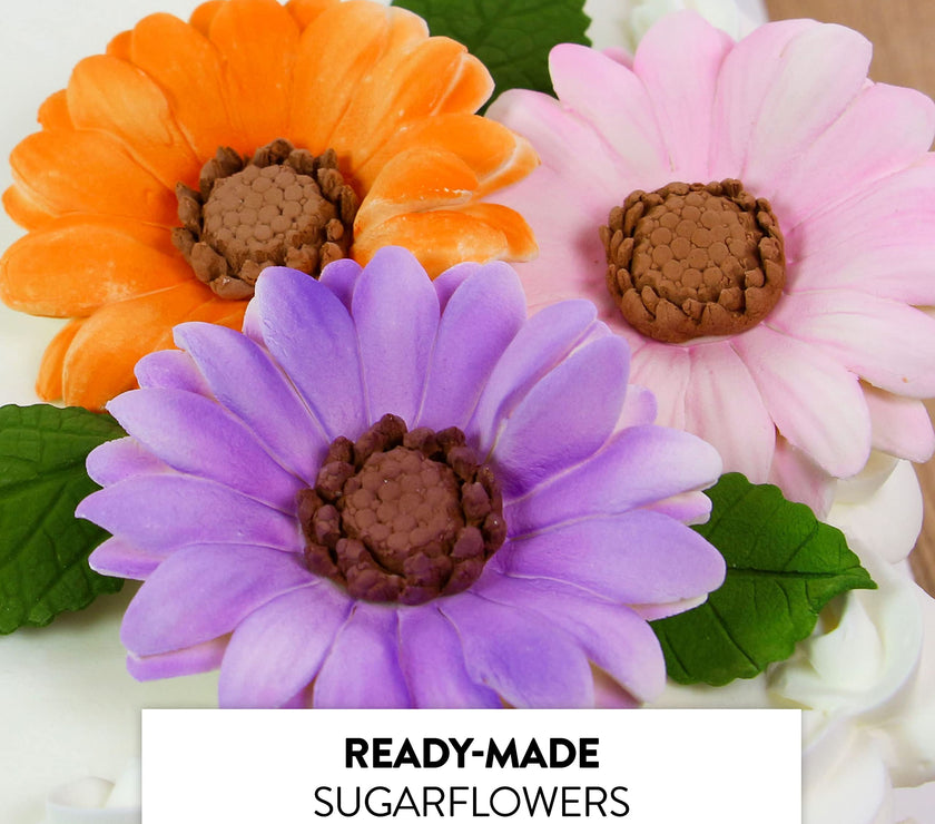 Global Sugar Art Summer Gerbera Daisy Sugar Cake Flowers Mixed Colors, 9 Count by Chef Alan Tetreault