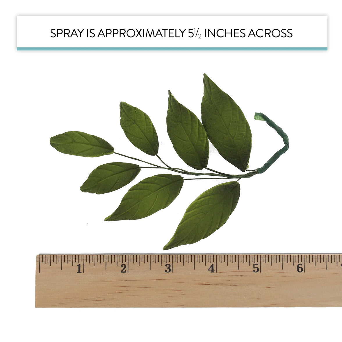 Dark Green Leaf  Spray  Cake Decoration by Chef Alan Tetreault, Global Sugar Art, 4 Count