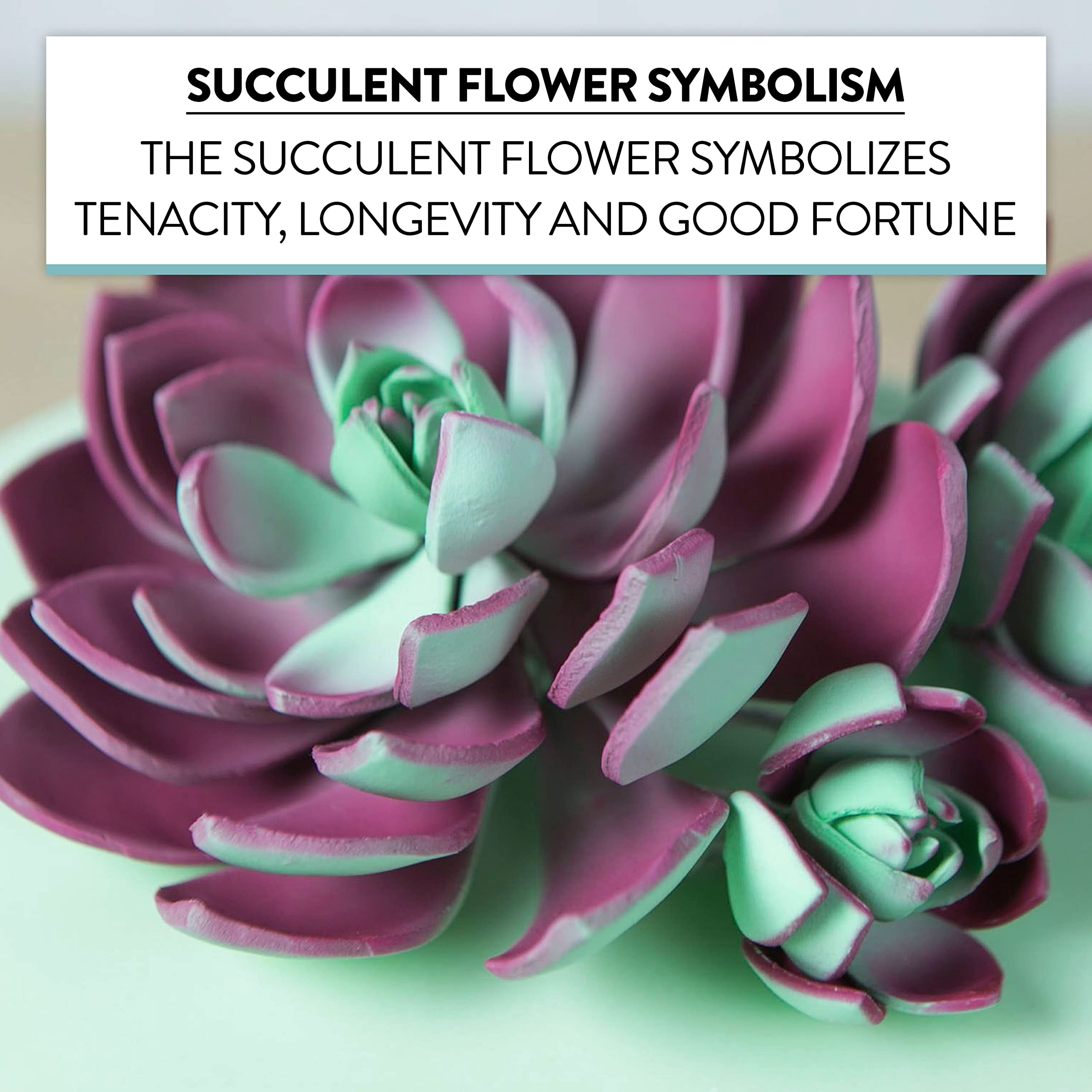 Global Sugar Art Succulent Romeo Sugar Cake Flowers Assortment with Wire, 3 Count by Chef Alan Tetreault