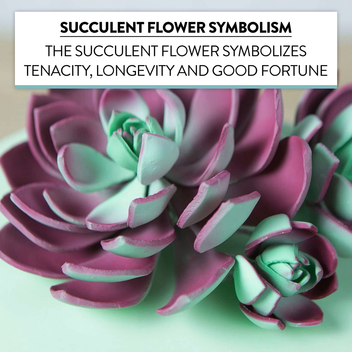 Global Sugar Art Succulent Romeo Sugar Cake Flowers Assortment with Wire, 3 Count by Chef Alan Tetreault