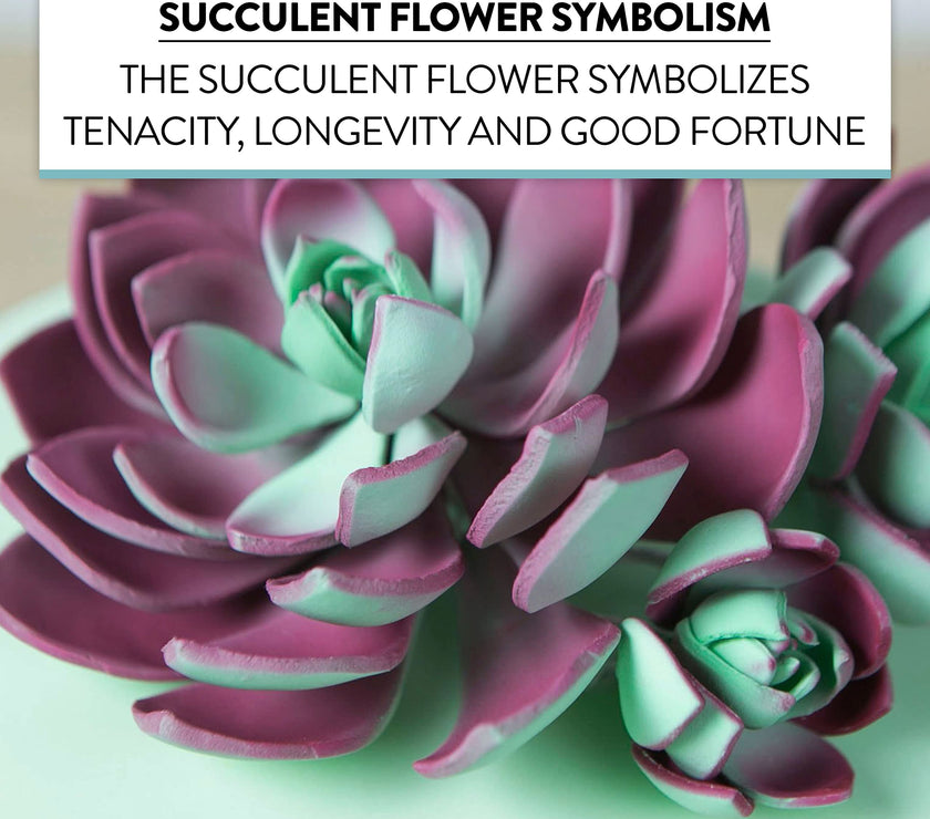 Global Sugar Art Succulent Romeo Sugar Cake Flowers Assortment with Wire, 3 Count by Chef Alan Tetreault