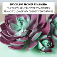 Global Sugar Art Succulent Romeo Sugar Cake Flowers Assortment with Wire, 3 Count by Chef Alan Tetreault