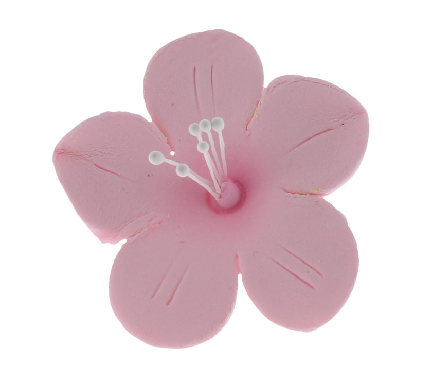 Global Sugar Art Fruit Blossom Sugar Cake Flowers by Chef Alan Tetreault