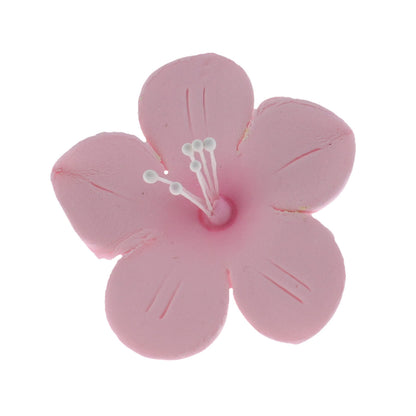 Fruit Blossoms, Assorted Colors