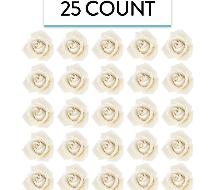 Peace Rose Sugar Flowers for Cake Decorating, by Global Sugar Art, Medium, White