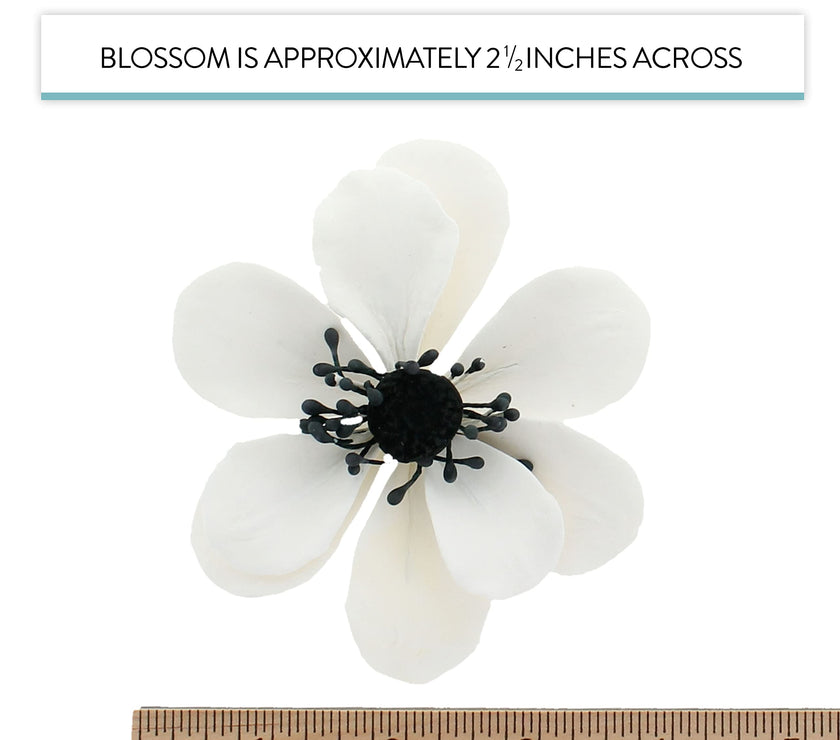 Global Sugar Art Sugar White and Black Anemone by Chef Alan Tetreault, 3 Count