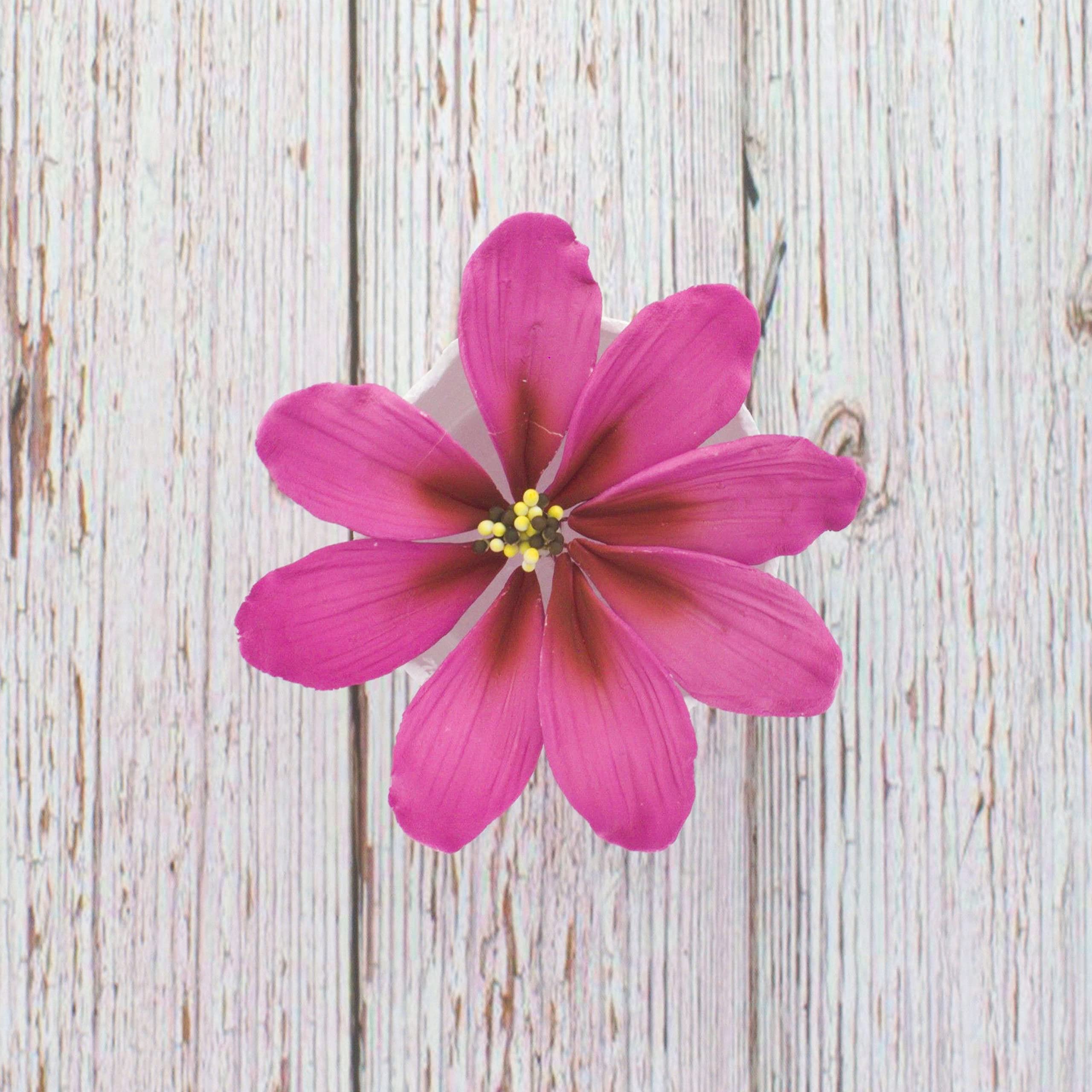 Global Sugar Art Cosmos Sugar Cake Flowers, Pink, Large, 3 Count by Chef Alan Tetreault