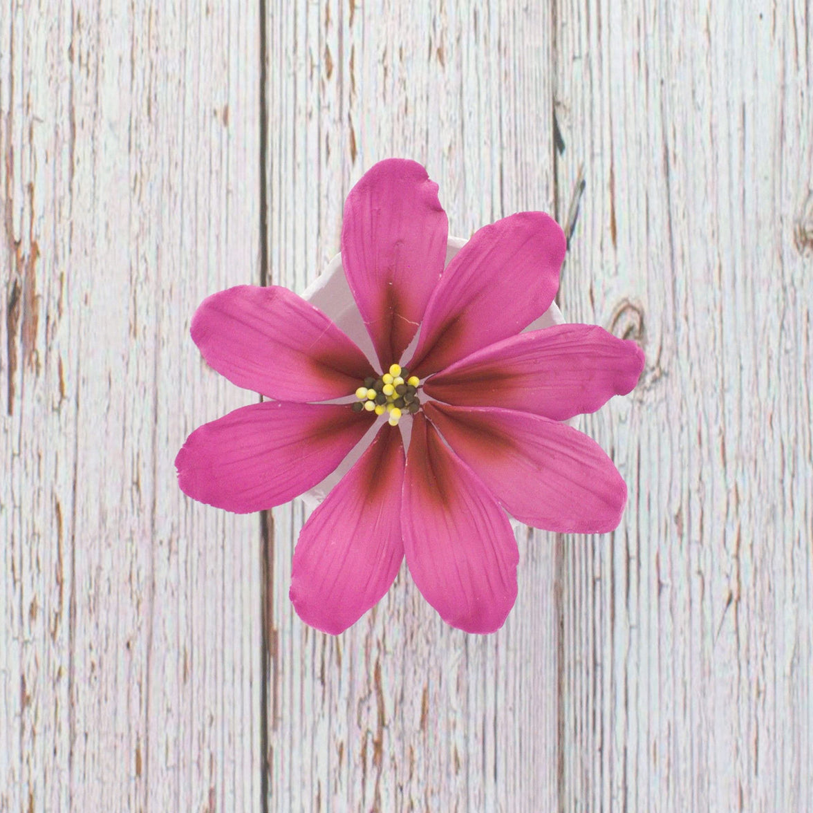 Global Sugar Art Cosmos Sugar Cake Flowers, Pink, Large, 3 Count by Chef Alan Tetreault