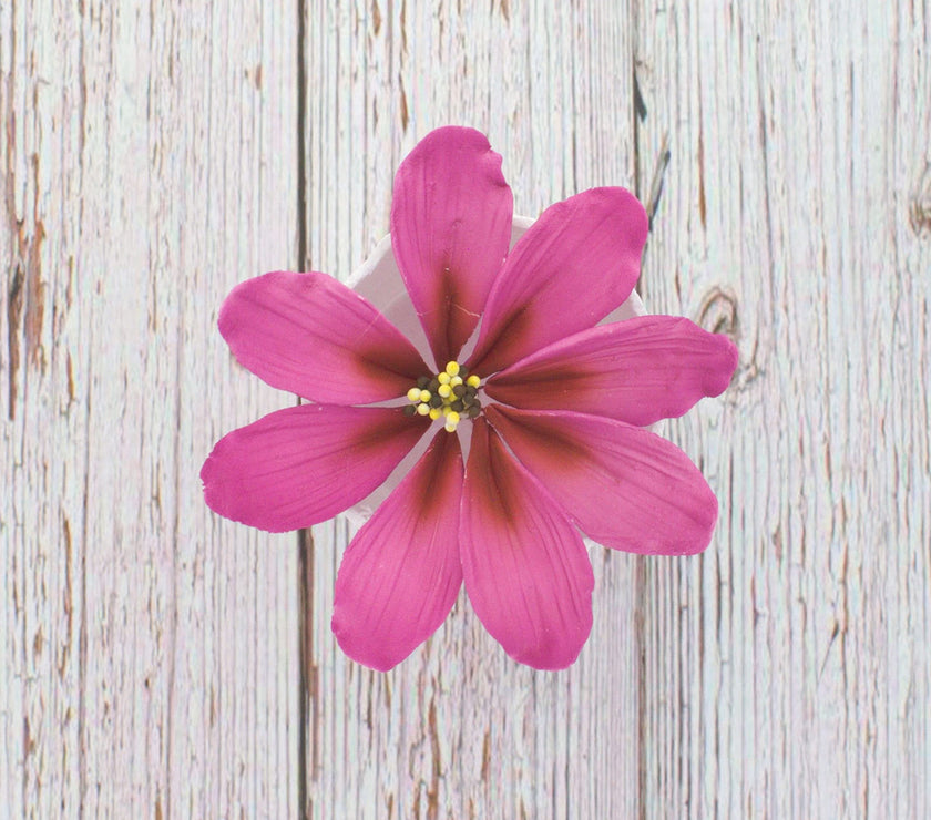 Global Sugar Art Cosmos Sugar Cake Flowers, Pink, Large, 3 Count by Chef Alan Tetreault