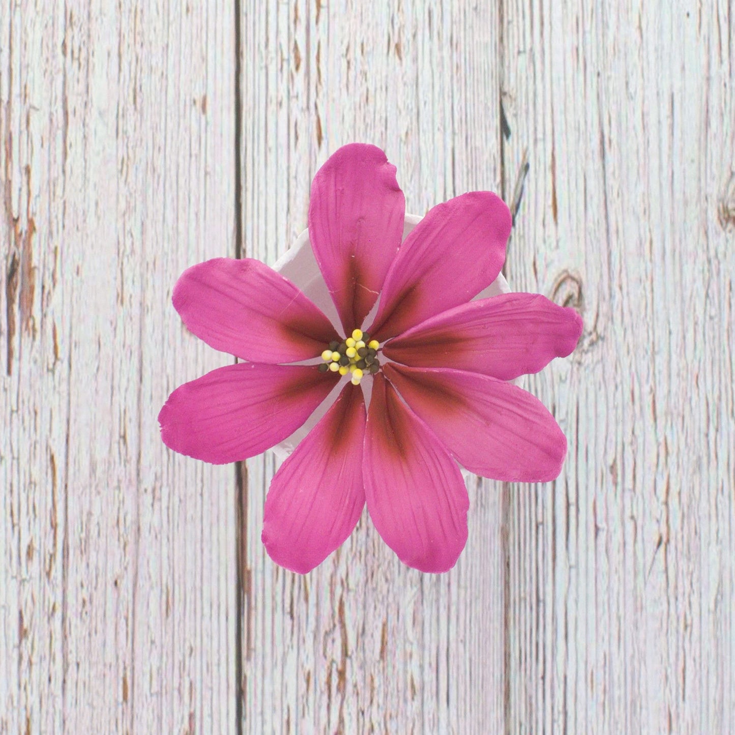 Pink Cosmos, 3 Count