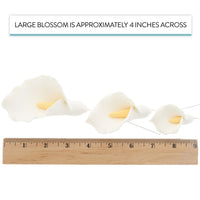 Calla Lily Sugar Cake Flowers by Global Sugar Art, White with Yellow, Wired, 3 Sizes, 6 Count