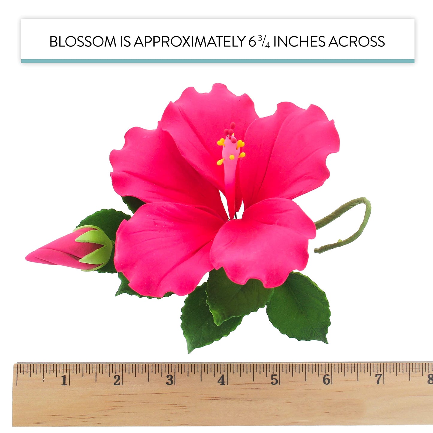 Pink Tropical Hibiscus with Leaves