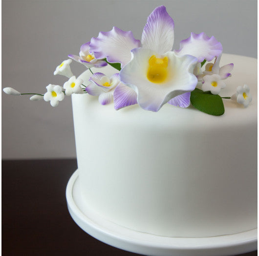 Purple and White Arched Cattleya Orchid Spray