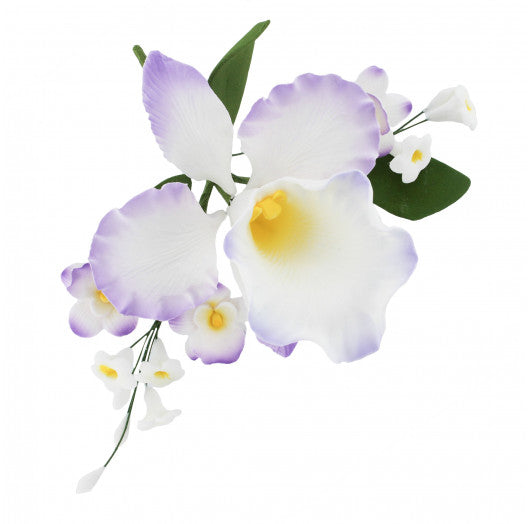 Purple and White Arched Cattleya Orchid Spray