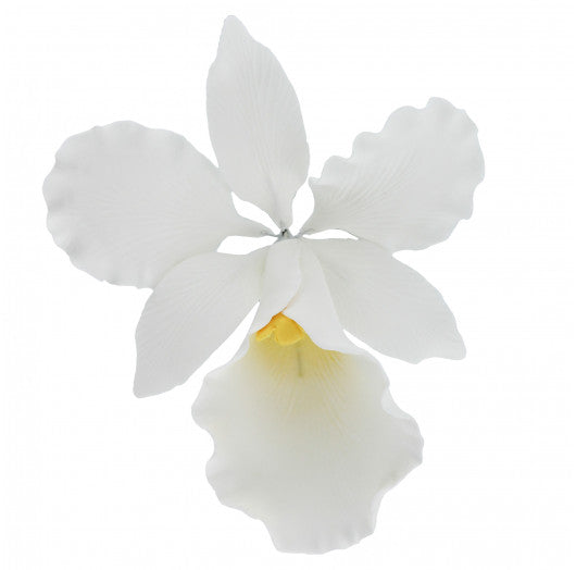 Orchid Sugar Cake Flowers, Cattleya Orchid, by Global Sugar Art, Large, White, 1 Count