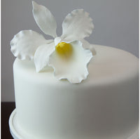 Orchid Sugar Cake Flowers, Cattleya Orchid, by Global Sugar Art, Large, White, 1 Count