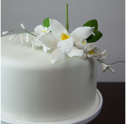 White Cymbidium Orchid Spray