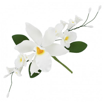 White Cymbidium Orchid Spray