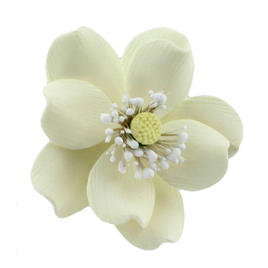 Pale Yellow Dogwood Rose, 4 Count