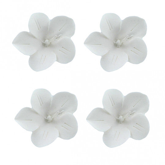 Global Sugar Art Fruit Blossom Sugar Cake Flowers by Chef Alan Tetreault