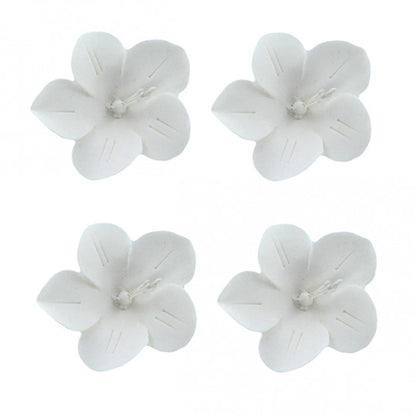 Fruit Blossoms, Assorted Colors
