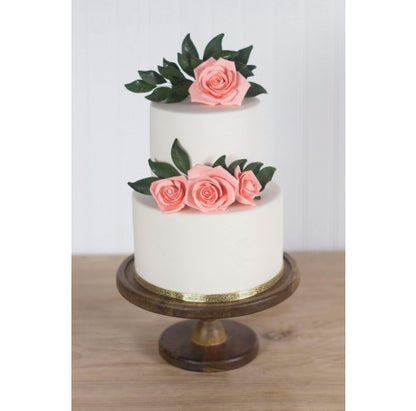 Apricot Peace Rose, 2-inch
