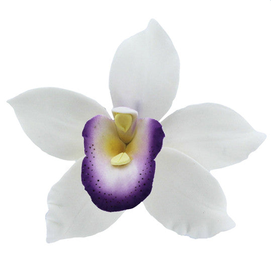Orchid Sugar Cake Flowers, Pearly Orchids, by Global Sugar Art, Large, White with Purple, 4 Count