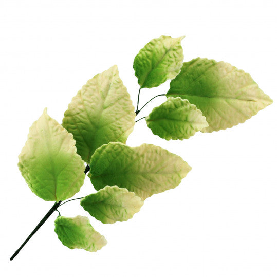 Pale Yellow and Green Rose Leaf Spray, Cake Decoration by Global Sugar Art, 3 Count