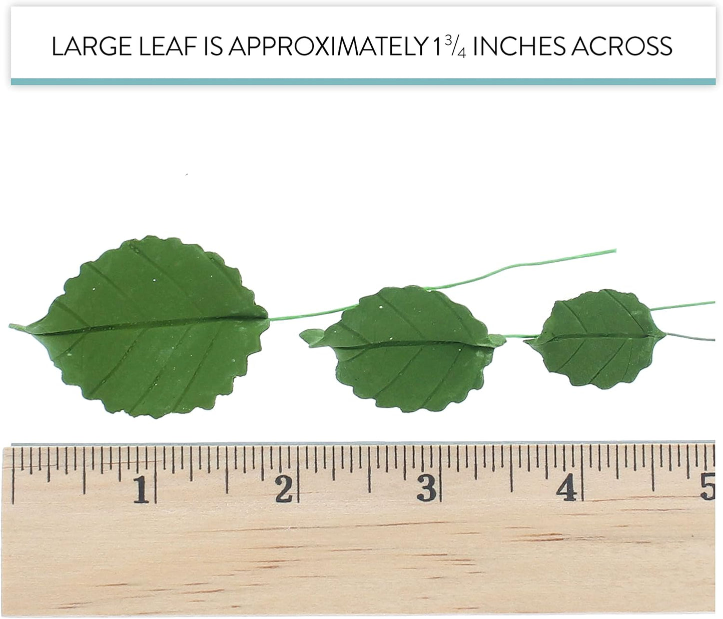 Rose Leaf Individual Leaves, Assorted Sizes