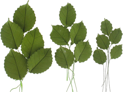 Rose Leaf Individual Leaves, Assorted Sizes