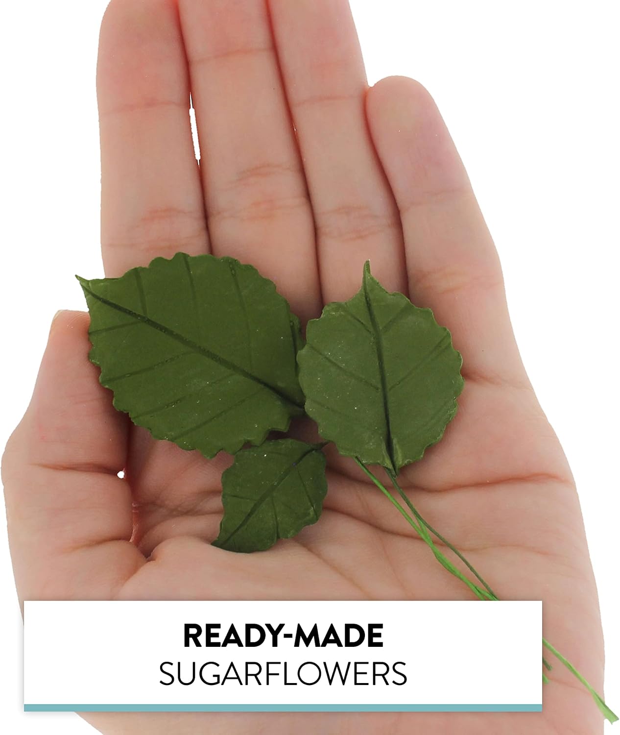Rose Leaf Individual Leaves, Assorted Sizes