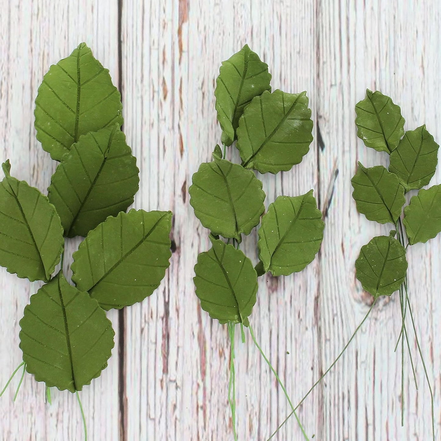 Rose Leaf Individual Leaves, Assorted Sizes